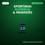 Sportinės aprangos numeriai ir pavardės (Flex termo plėvelė)